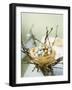 Sweet Easter Eggs in a Nest-Philip Webb-Framed Photographic Print