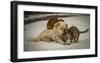 Sweet Effusions-Riccardo Lucidi-Framed Giclee Print