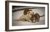 Sweet Effusions-Riccardo Lucidi-Framed Giclee Print