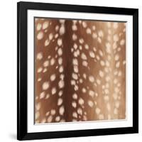 Sweet Fawn I-Janelle Penner-Framed Art Print