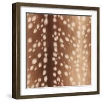 Sweet Fawn I-Janelle Penner-Framed Art Print