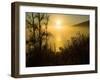 Sweet Fennel, Foeniculum Vulgare, and Sunset over Big Sur Coastline, California, Usa-Paul Colangelo-Framed Photographic Print