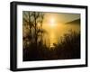 Sweet Fennel, Foeniculum Vulgare, and Sunset over Big Sur Coastline, California, Usa-Paul Colangelo-Framed Photographic Print