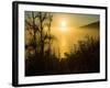 Sweet Fennel, Foeniculum Vulgare, and Sunset over Big Sur Coastline, California, Usa-Paul Colangelo-Framed Photographic Print