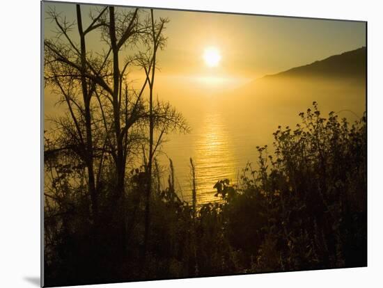 Sweet Fennel, Foeniculum Vulgare, and Sunset over Big Sur Coastline, California, Usa-Paul Colangelo-Mounted Photographic Print