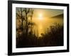 Sweet Fennel, Foeniculum Vulgare, and Sunset over Big Sur Coastline, California, Usa-Paul Colangelo-Framed Photographic Print