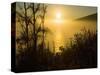 Sweet Fennel, Foeniculum Vulgare, and Sunset over Big Sur Coastline, California, Usa-Paul Colangelo-Stretched Canvas