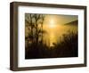 Sweet Fennel, Foeniculum Vulgare, and Sunset over Big Sur Coastline, California, Usa-Paul Colangelo-Framed Photographic Print