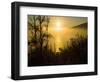 Sweet Fennel, Foeniculum Vulgare, and Sunset over Big Sur Coastline, California, Usa-Paul Colangelo-Framed Photographic Print