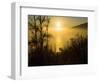 Sweet Fennel, Foeniculum Vulgare, and Sunset over Big Sur Coastline, California, Usa-Paul Colangelo-Framed Photographic Print