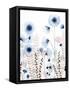 Sweet Flower Field I-Grace Popp-Framed Stretched Canvas