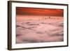 Sweet Fog City, Golden Gate Bridge, San Francisco Bay Area Sunrise-Vincent James-Framed Photographic Print