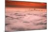 Sweet Fog City, Golden Gate Bridge, San Francisco Bay Area Sunrise-Vincent James-Mounted Photographic Print