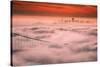 Sweet Fog City, Golden Gate Bridge, San Francisco Bay Area Sunrise-Vincent James-Stretched Canvas