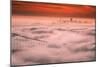 Sweet Fog City, Golden Gate Bridge, San Francisco Bay Area Sunrise-Vincent James-Mounted Photographic Print