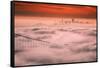 Sweet Fog City, Golden Gate Bridge, San Francisco Bay Area Sunrise-Vincent James-Framed Stretched Canvas