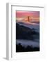 Sweet Fog Pocket at Sunrise Golden Gate San Francisco-Vincent James-Framed Photographic Print