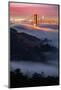 Sweet Fog Pocket at Sunrise Golden Gate San Francisco-Vincent James-Mounted Photographic Print