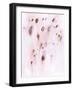 Sweet Fusion-Strawberry Field-Framed Giclee Print