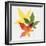 Sweet Gum Leaves-DLILLC-Framed Photographic Print