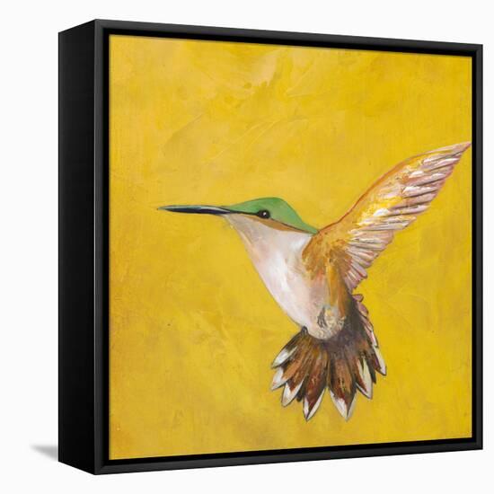 Sweet Hummingbird II-Mehmet Altug-Framed Stretched Canvas