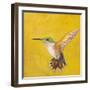 Sweet Hummingbird II-Mehmet Altug-Framed Art Print