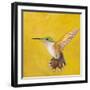 Sweet Hummingbird II-Mehmet Altug-Framed Art Print