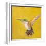 Sweet Hummingbird II-Mehmet Altug-Framed Art Print