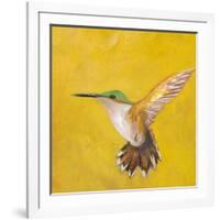 Sweet Hummingbird II-Mehmet Altug-Framed Premium Giclee Print