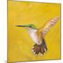 Sweet Hummingbird II-Mehmet Altug-Mounted Premium Giclee Print