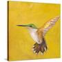 Sweet Hummingbird II-Mehmet Altug-Stretched Canvas