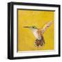 Sweet Hummingbird II-Mehmet Altug-Framed Art Print