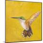 Sweet Hummingbird II-Mehmet Altug-Mounted Art Print