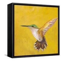 Sweet Hummingbird II-Mehmet Altug-Framed Stretched Canvas