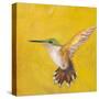 Sweet Hummingbird II-Mehmet Altug-Stretched Canvas