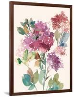 Sweet Hydrangea I-Asia Jensen-Framed Art Print