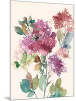 Sweet Hydrangea I-Asia Jensen-Mounted Art Print