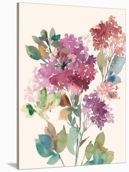 Sweet Hydrangea I-Asia Jensen-Stretched Canvas