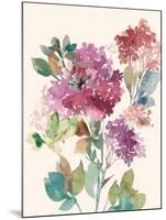 Sweet Hydrangea I-Asia Jensen-Mounted Art Print