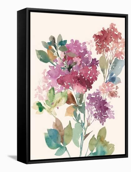 Sweet Hydrangea I-Asia Jensen-Framed Stretched Canvas