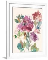 Sweet Hydrangea I-Asia Jensen-Framed Art Print