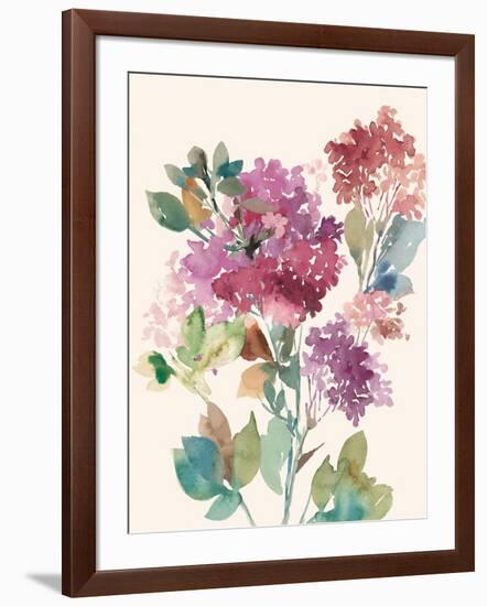 Sweet Hydrangea I-Asia Jensen-Framed Art Print