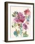 Sweet Hydrangea I-Asia Jensen-Framed Art Print