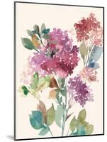 Sweet Hydrangea I-Asia Jensen-Mounted Art Print