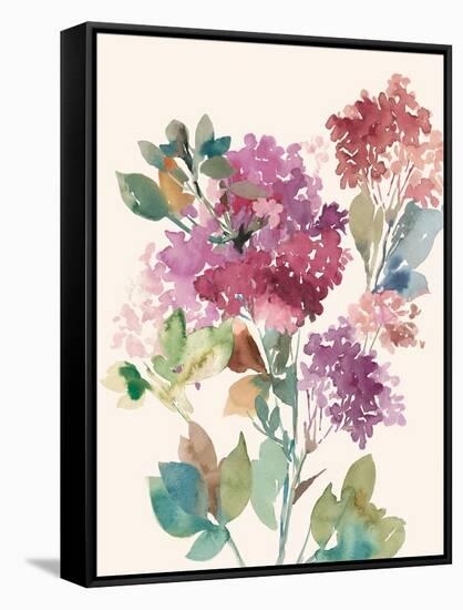 Sweet Hydrangea I-Asia Jensen-Framed Stretched Canvas