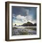 Sweet Illusion-William Vanscoy-Framed Art Print