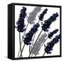 Sweet Lavender, 2004-Sarah Hough-Framed Stretched Canvas