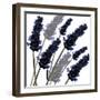 Sweet Lavender, 2004-Sarah Hough-Framed Giclee Print