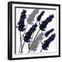 Sweet Lavender, 2004-Sarah Hough-Framed Giclee Print