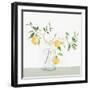 Sweet Lemonade-Isabelle Z-Framed Art Print